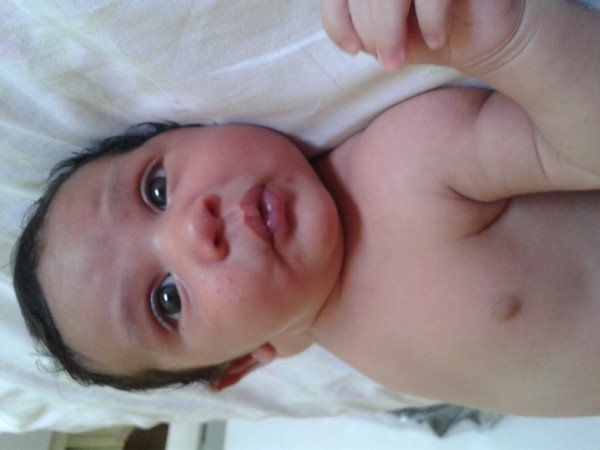 theo